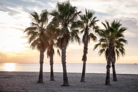 Camping Vendrell Platja - 10