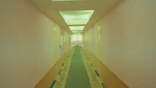 Тулпар - 25