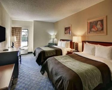 Quality Inn & Suites Dfw Airport South - 74