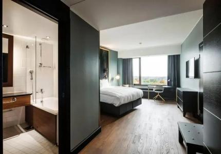 Crowne Plaza Helsinki - Hesperia, An Ihg - 97