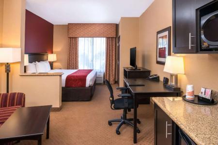 Comfort Suites Airport Convention Center - 50