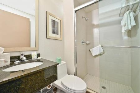 Comfort Inn Manhattan - Midtown West - 7