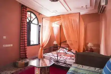 Riad Losra - 43