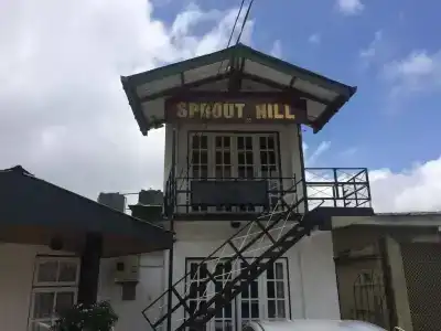 Sprout Hill - 6