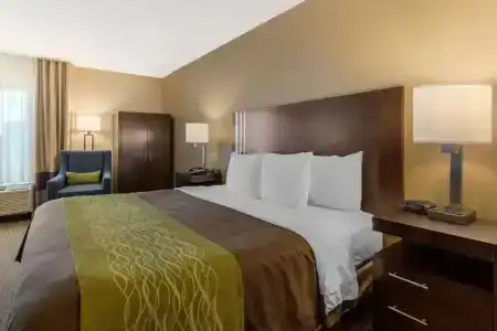 Comfort Inn 290/Nw - 31