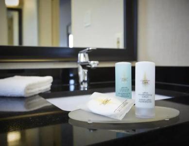 Comfort Inn - 48