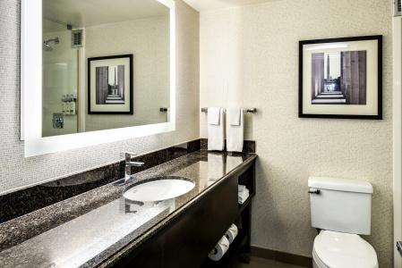 Holiday Inn Washington Capitol-National Mall, An Ihg - 46