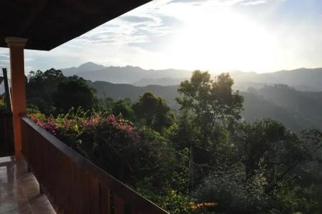 Sky Green Resort - 35