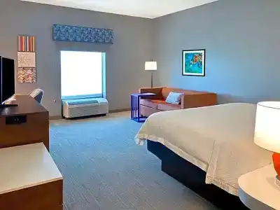 Hampton Inn & Suites/St. Petersburg-Ulmerton Road - 35