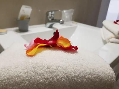 Logis Le Nid du Pont de Gau - 7