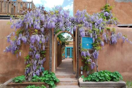 The Inn of Five Graces - 43