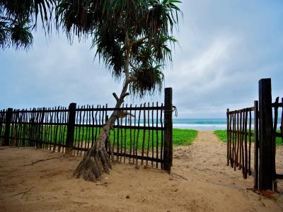 Roman Beach - 18