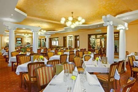 Ensana Centrální Lázně - Maria Spa - 19