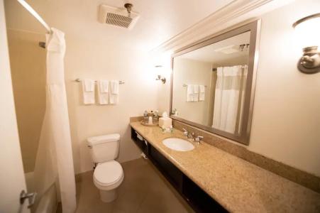 Holiday Inn Regency, An Ihg - 65
