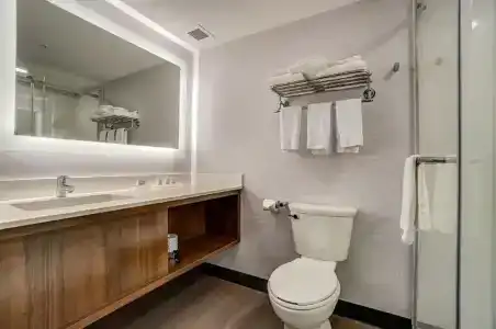 Holiday Inn - Ottawa, an IHG - 42