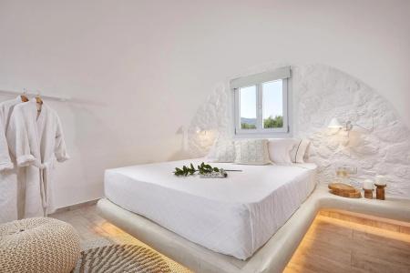 Petri Suites - 22