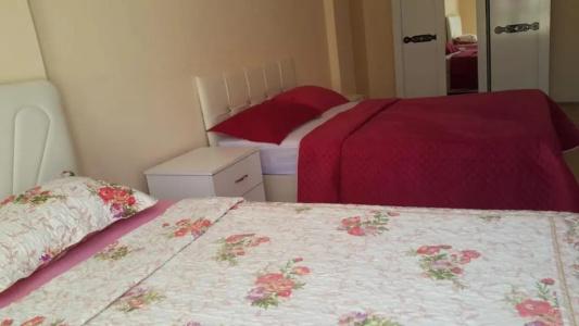 Samlife Apart - 6