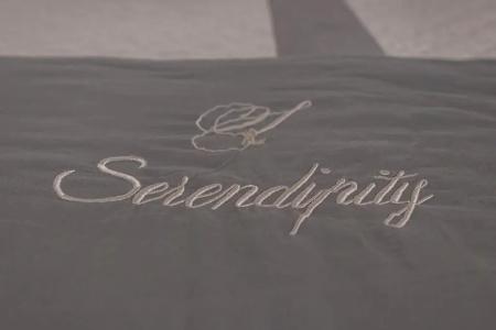 Serendipity B&B - 29
