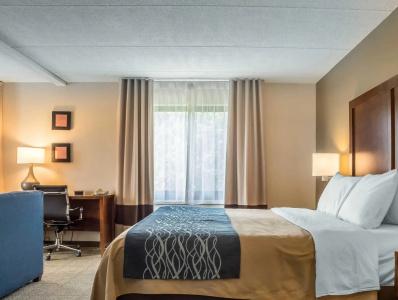Comfort Inn The Pointe - 30