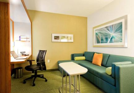 SpringHill Suites by Marriott - 27