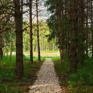 Три Метлы - 44