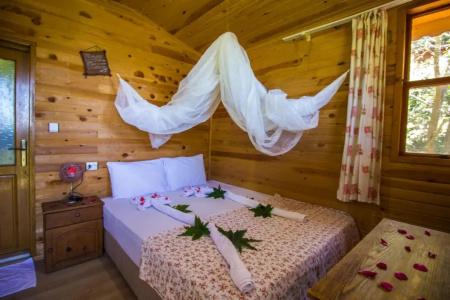 Full Moon Camp - 39