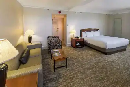 Hilton Netherland Plaza - 78