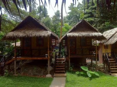 Jungle Garden - 14