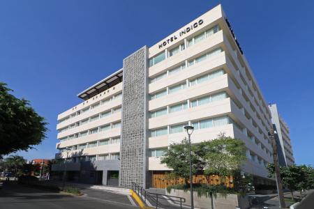 Hilton 1970 Guadalajara, Curio Collection by Hilton - 49