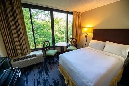 Holiday Inn Regency, An Ihg - 70