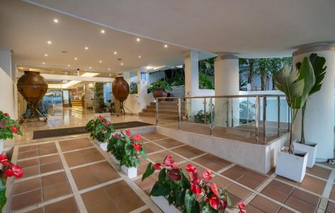 MS Aguamarina Suites - 17