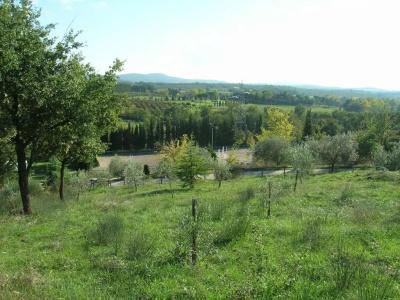 Casale Sant'Elia - 9
