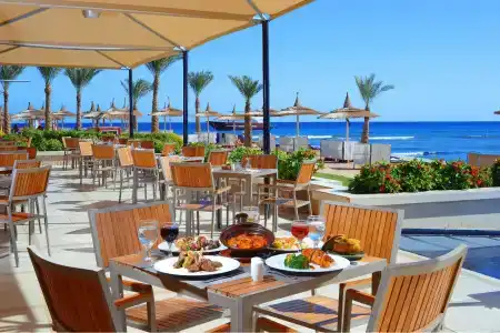 Beach Albatros - - 30
