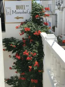 Mamabels - 31