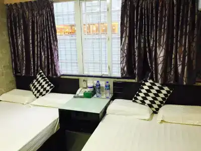 Modern - 50