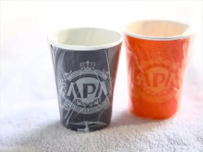 Apa Takaoka Ekimae - 24