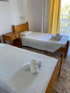 Panorama - 5
