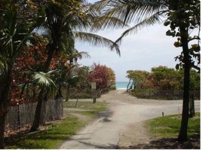 Beach Corner - 15