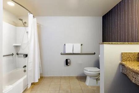 Courtyard by Marriott Houston Galleria - 37