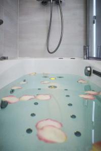 Best Western Plus Carlton Annecy - 106