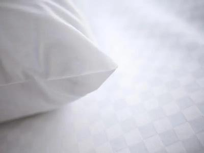 Four Points by Sheraton & Conference Center - 26
