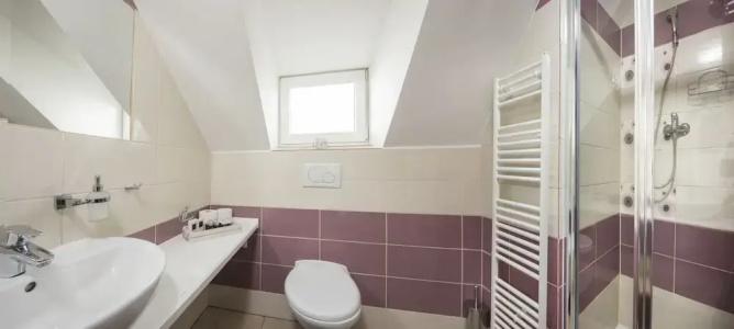 Pension Vila Mery - 88