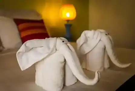 Baby Elephant Boutique - 58