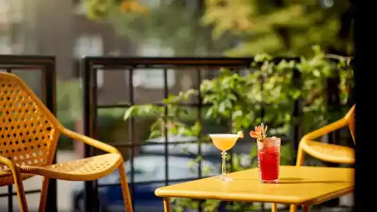 Park Plaza Vondelpark Amsterdam - 22