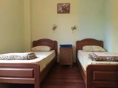 Дионис - 8