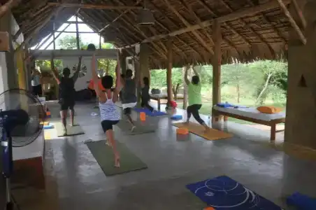 Back of beyond - Wellness Retreat - 43