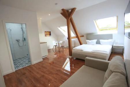 Zollikof Aparts - Sauna & Studio - 27