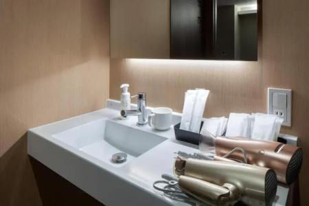 Randor Residence Hiroshima Suites - 71
