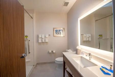 Holiday Inn Express & Suites - Houston Westchase - Westheimer, an IHG - 81