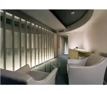 Daiwa Roynet Ginza - 46